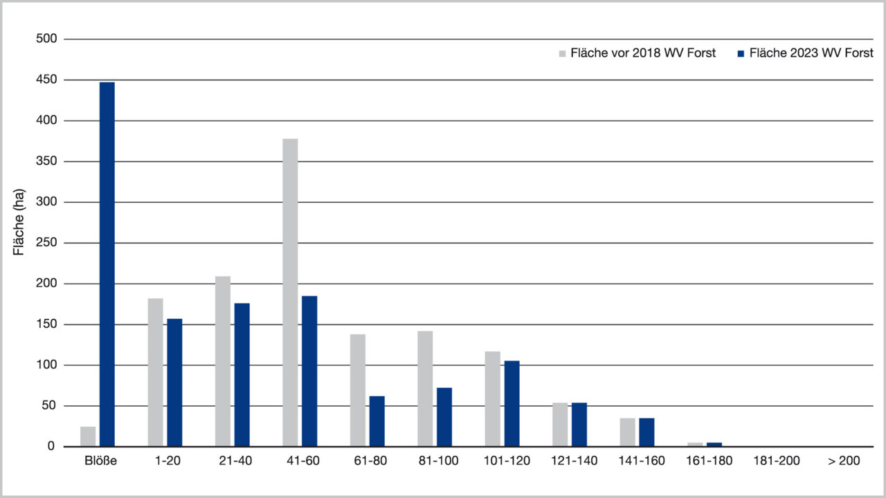 Waldfläche nach Altersklasse Waldfläche nach Altersklasse